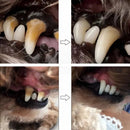Caneta Dental para Pets – Limpa dentes amarelados, previne o tártaro e elimina o mau hálito