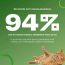 Graminha para gatos